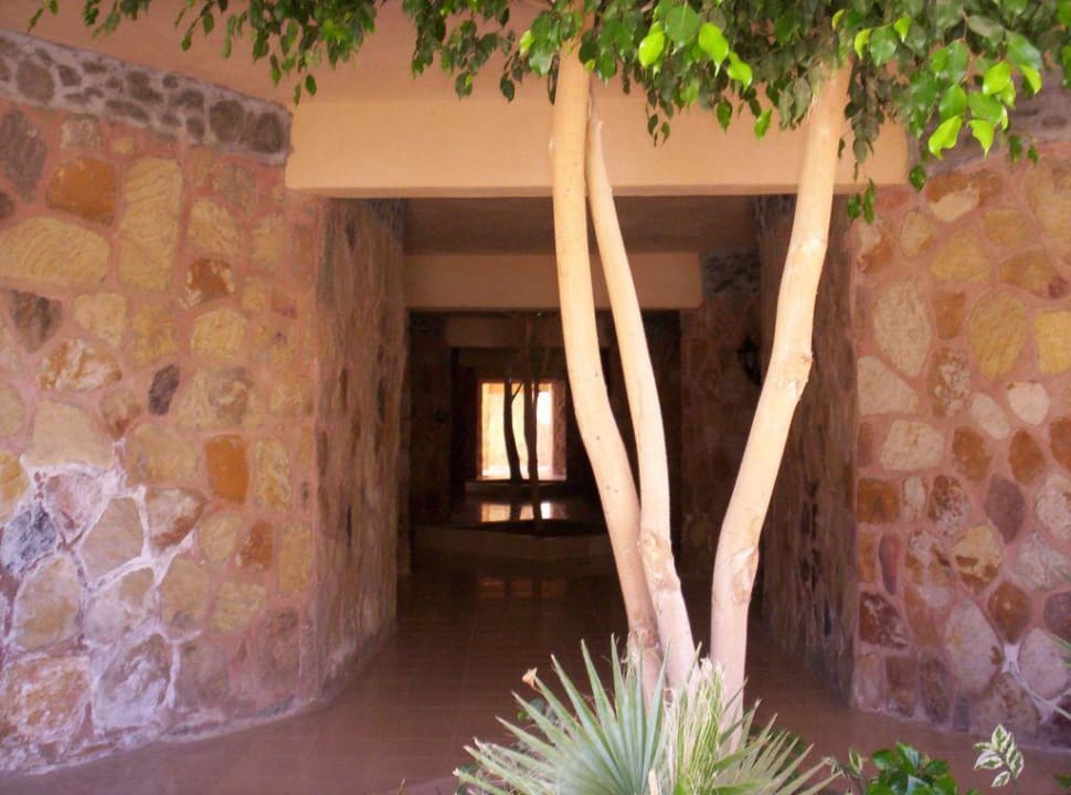 Schattengang zu den Bungalows Pensée Royal Garden Beach Resort