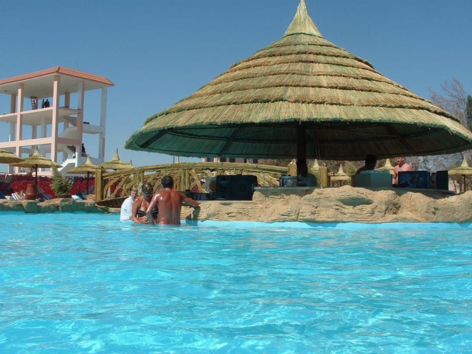 die poolbar Beach Albatros Resort