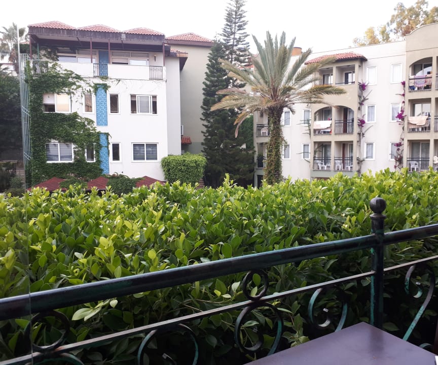 Ausblick Hotel Gardenia Beach