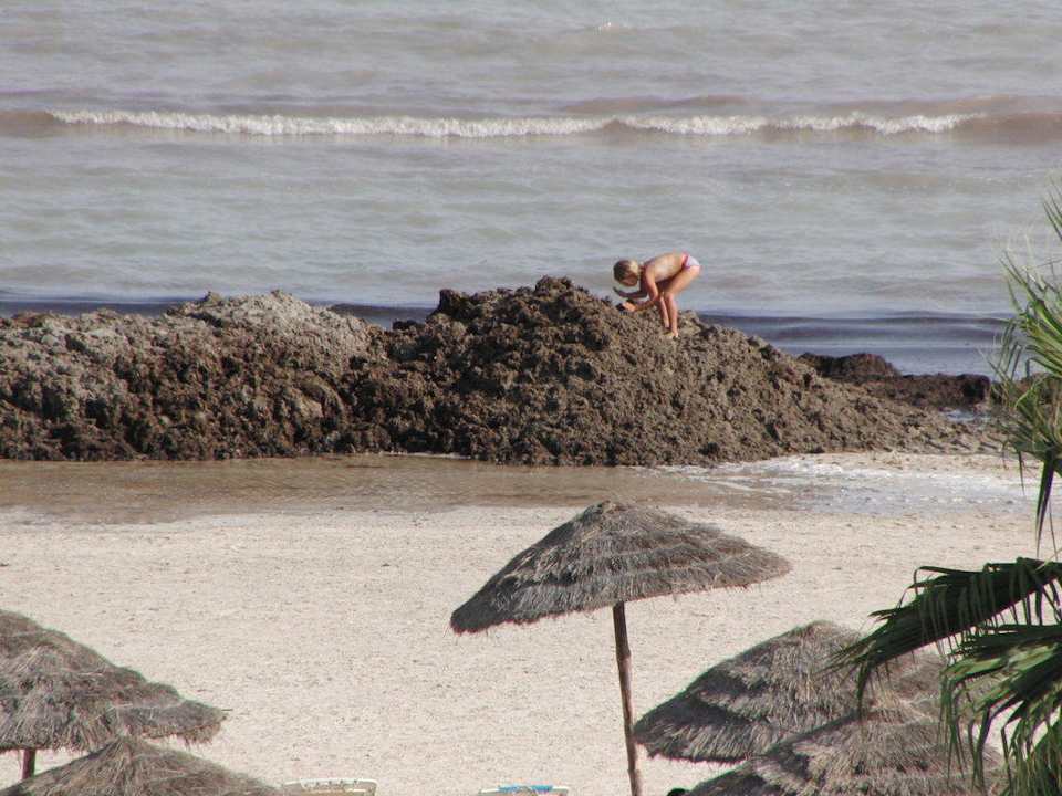 Algenstrand Hotel Bravo Djerba