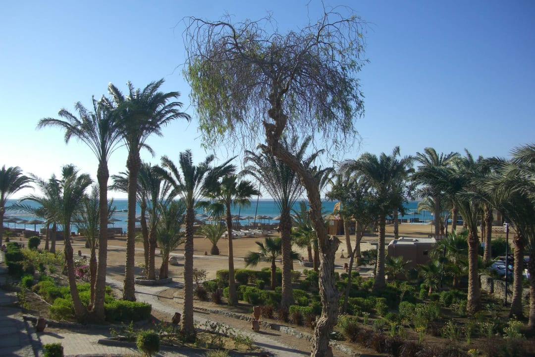 Balkonblick Club Paradisio El Gouna, Red Sea