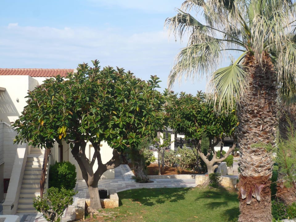 Blick in den Garten Phãea Cretan Malia
