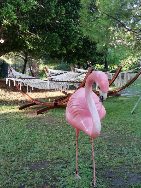 Gartenanlage Selectum Family Resort Side