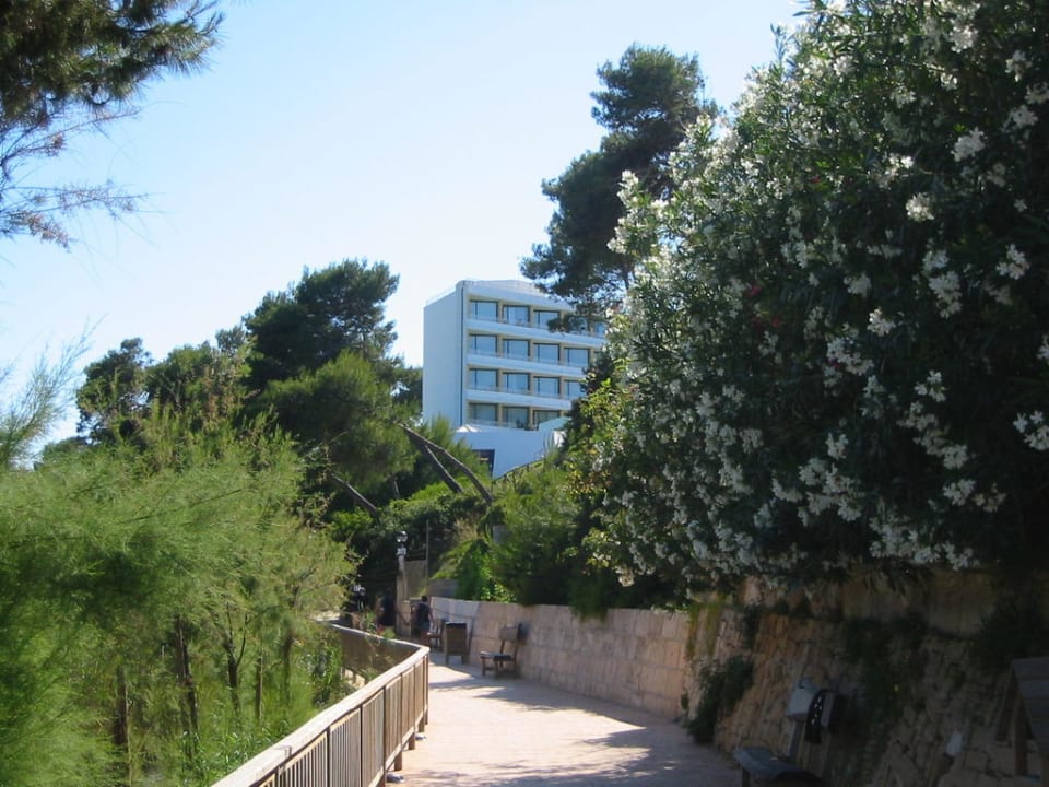 Weg vom Strand zum Hotel Hotel Exagon Park