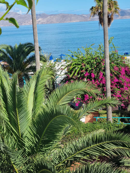 Ausblick Mastichari Bay Hotel