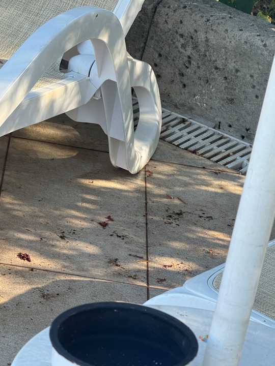 Pool Royal Taj Mahal Hotel