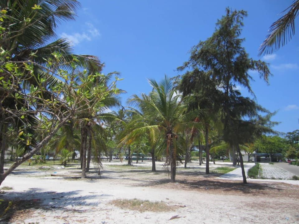 Palmenhain-leider ungepflegt Hotel Newtown Inn