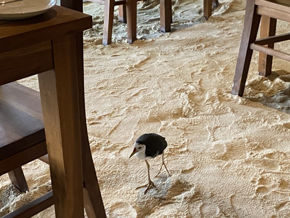 Sonstiges Summer Island Maldives