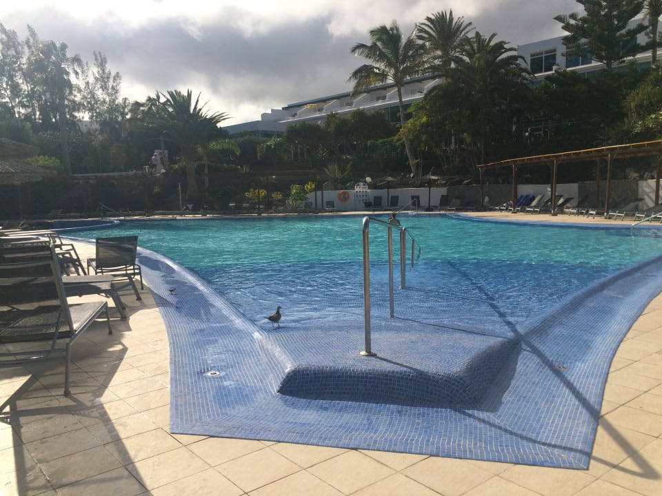 Pool allsun App.-Hotel Esquinzo Beach