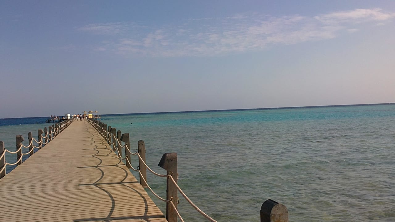 Steg zum toten Hausriff Stella Beach Resort & Spa Makadi Bay