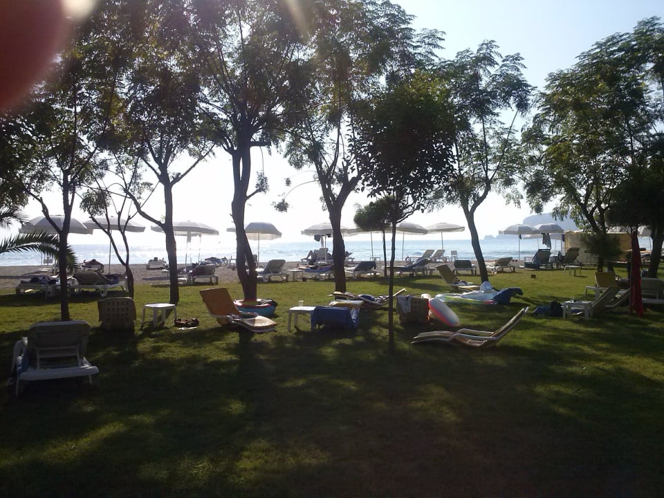 Ruheoase unter Bäumen Labranda Alantur Resort