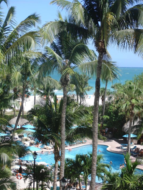 Blick vom Balkon über den Pool auf das Meer Hotel Riu Plaza Miami Beach