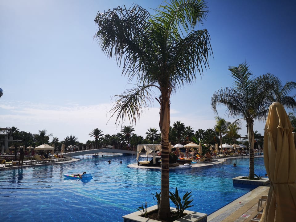 Pool Seaden Sea Planet Resort & Spa