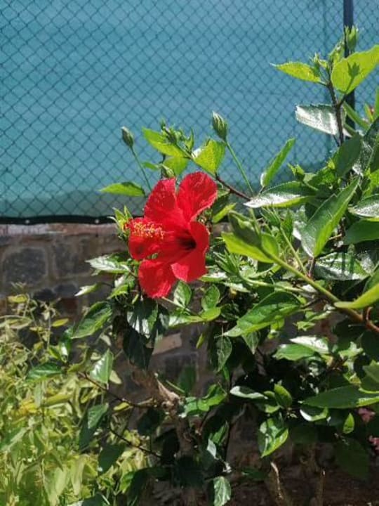 Außenansicht Nana Golden Beach