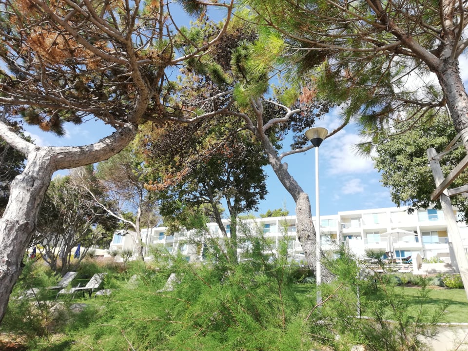 Außenansicht Valamar Girandella Designed for Adults