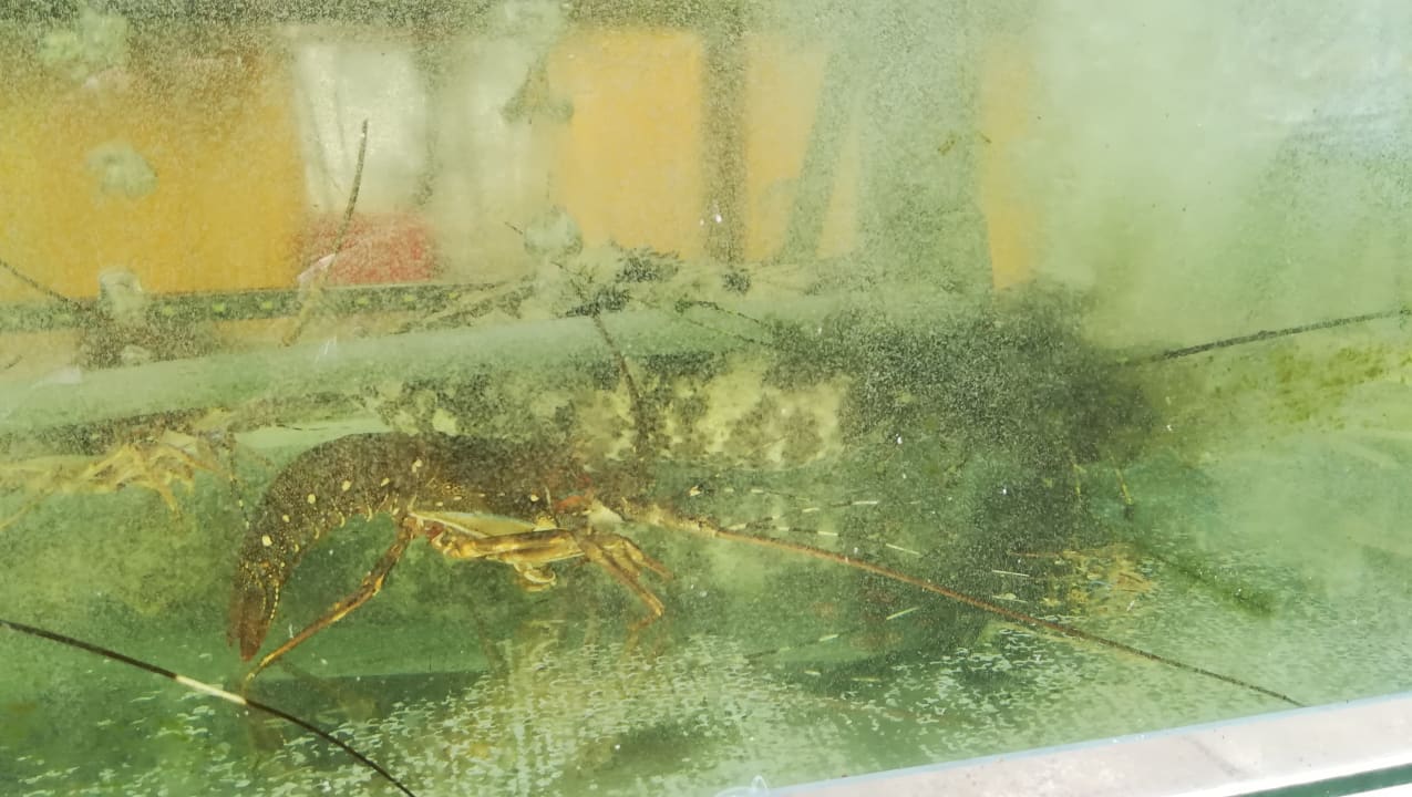 Gastro Hotel Muine Bay Resort