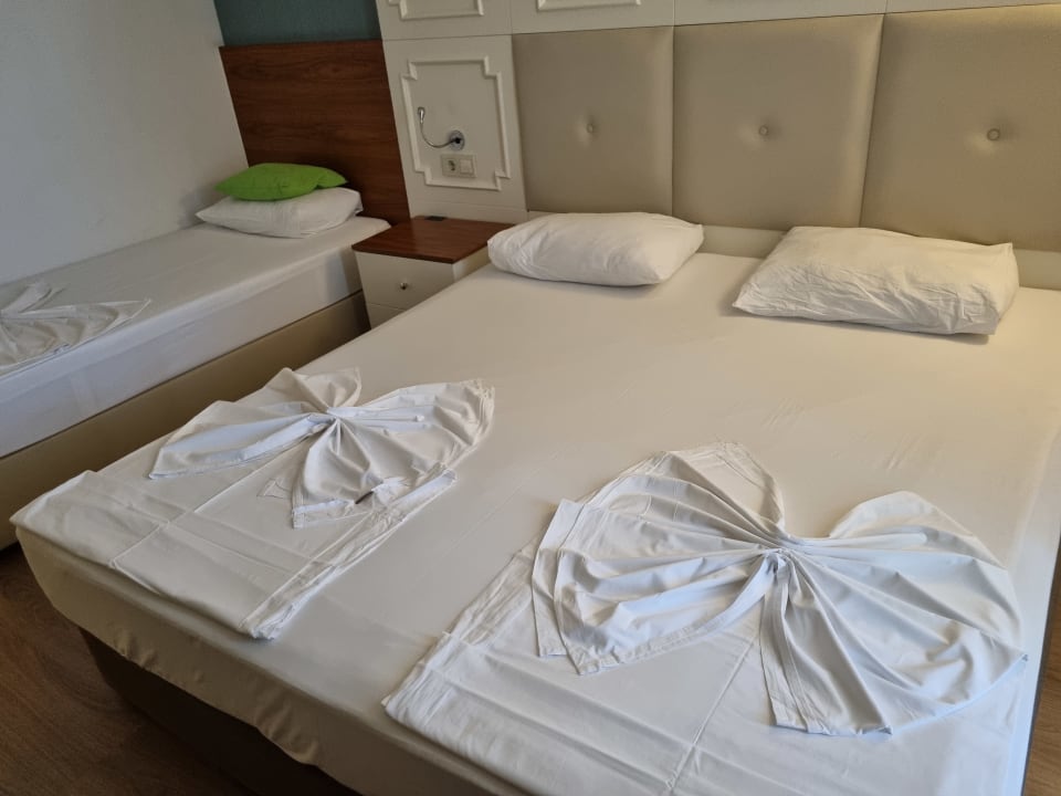 Zimmer Well Palace Side