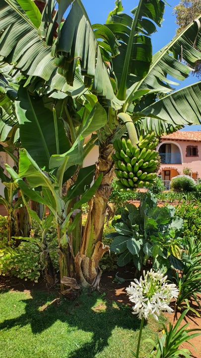 Gartenanlage Hotel Quinta Splendida Wellness & Botanical Garden