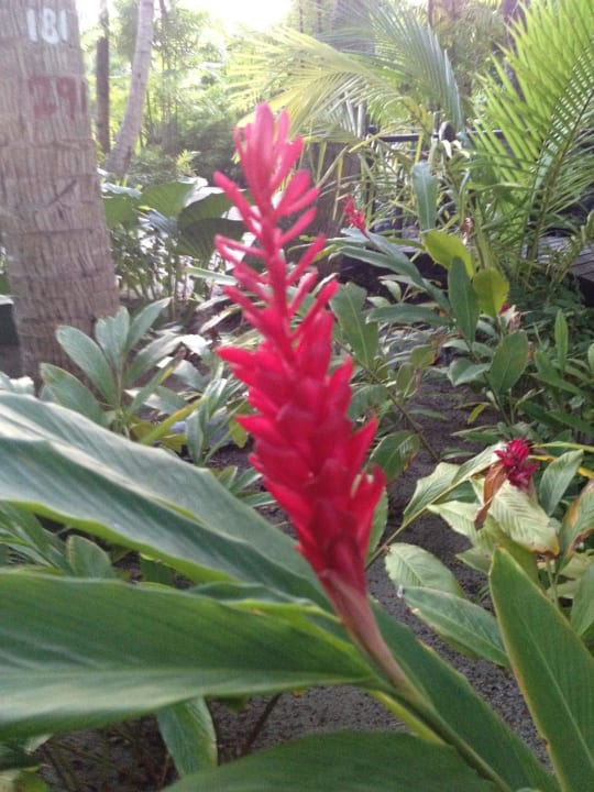 Blume Summer Island Maldives