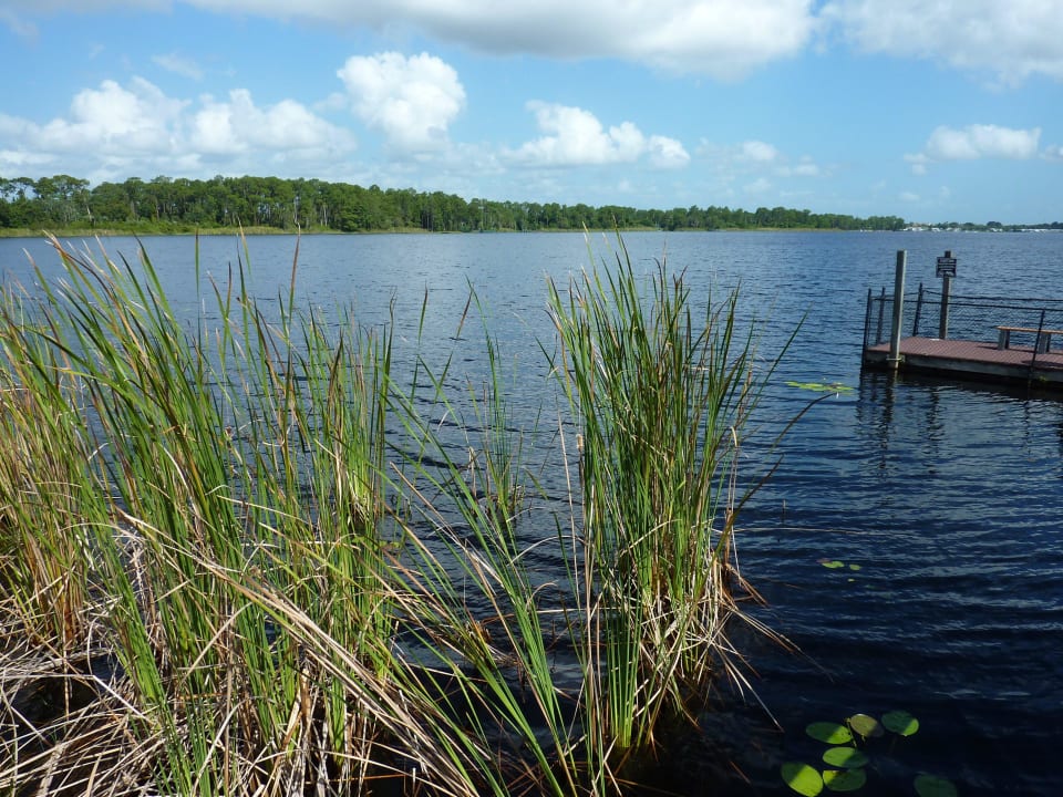 Lake Davenport Hotel Bahama Bay Resort And Spa