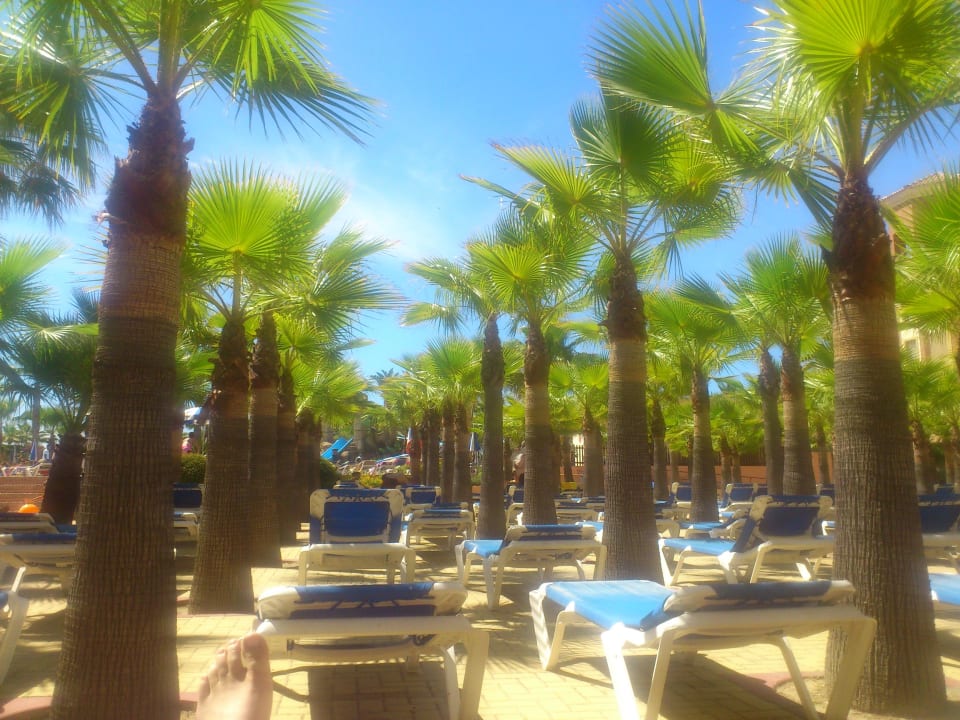 Liegenbereich Playacanela Hotel