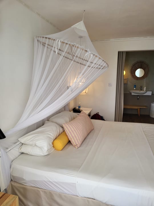 Sonstiges Tropical Attitude - Adults only