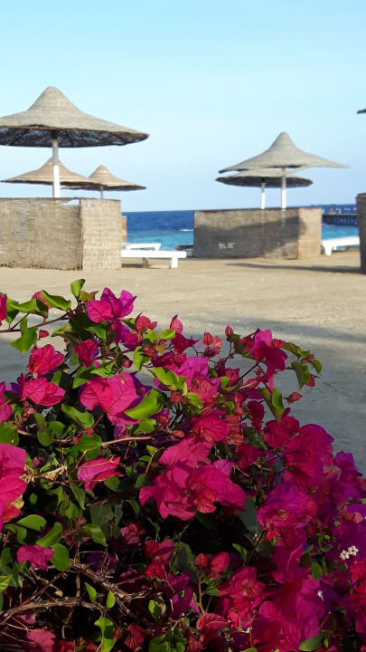 Strand Wadi Lahmy Azur Resort