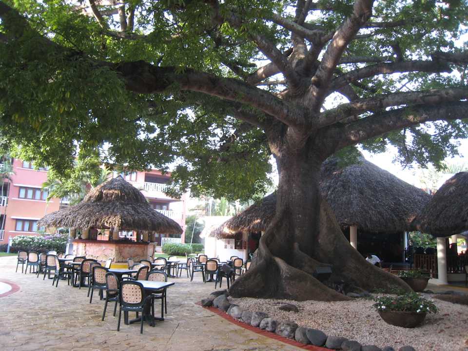 Место где анимация BelleVue Dominican Bay