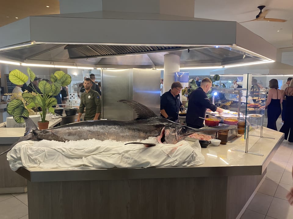 Gastro ROBINSON JANDIA PLAYA