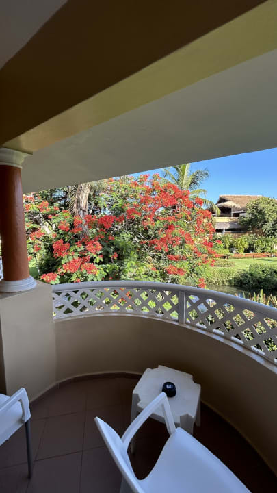 Ausblick Hotel Viva Dominicus Palace by Wyndham-All Inclusive Resort