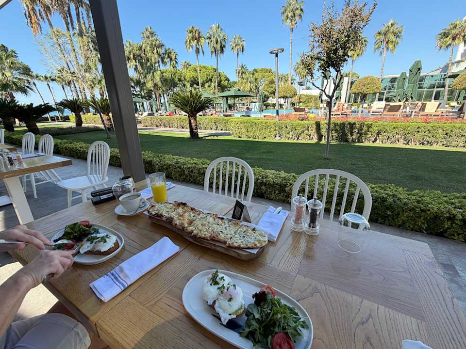 Gastro Acanthus Cennet Barut Collection