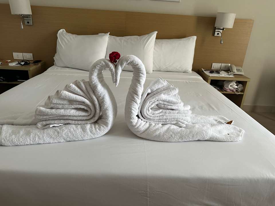 Zimmer JAZ Elite Asteria