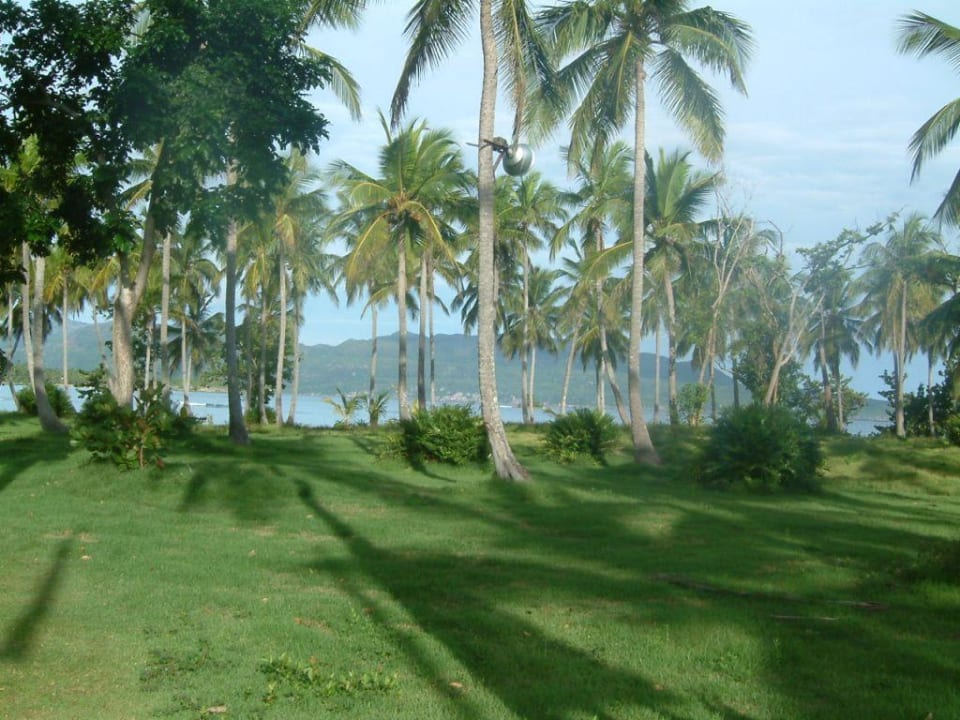 Palmentraum Wyndham Alltra Samana