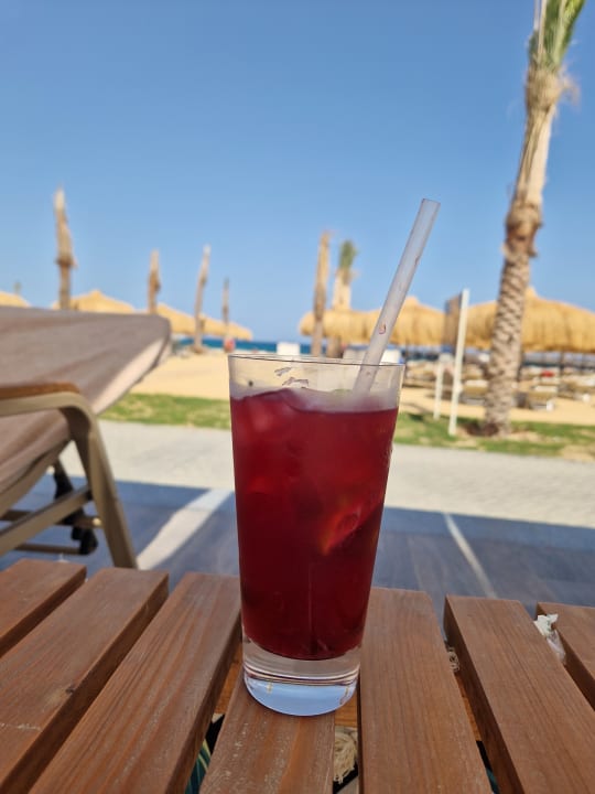 Gastro JAZ Elite Amara