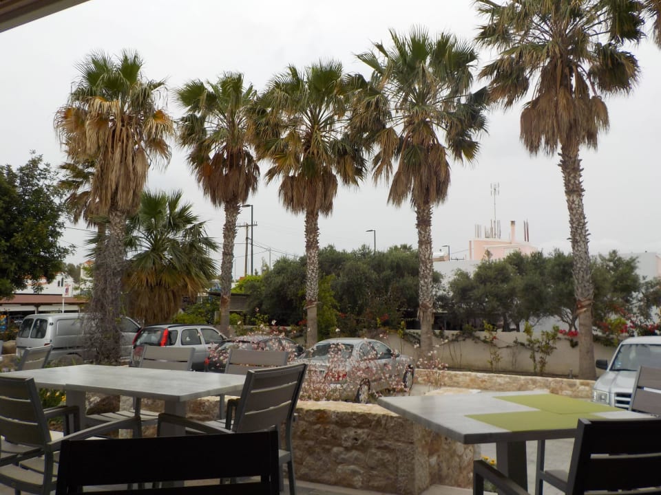 Schöner Blick beim Essen Apollon Hotel