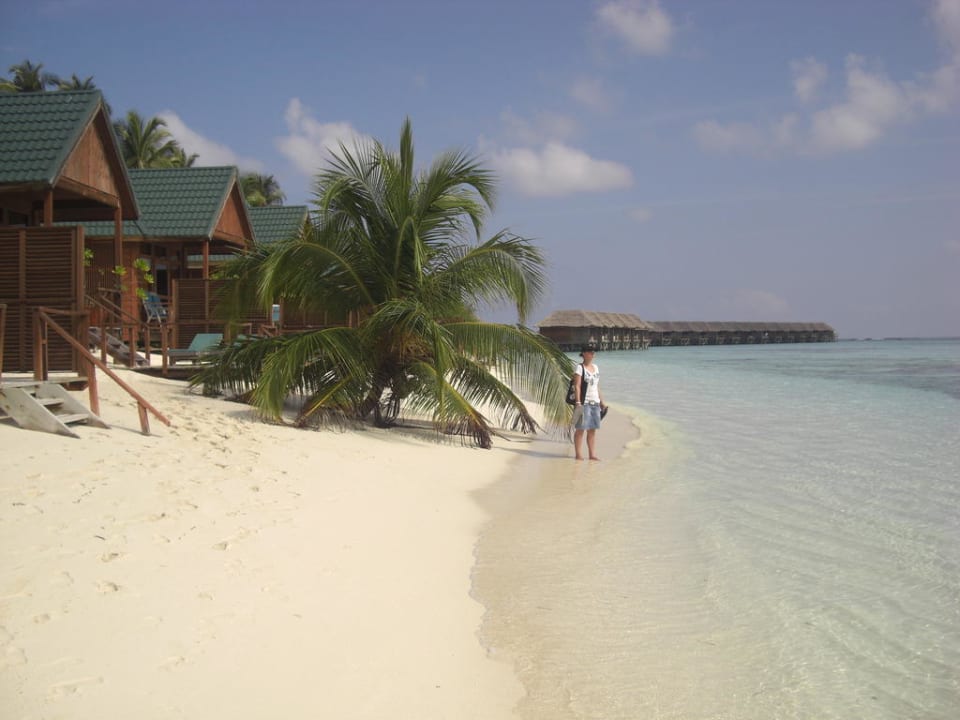 Wasser Villen Nord-Ost 503-529 Meeru Maldives Resort Island