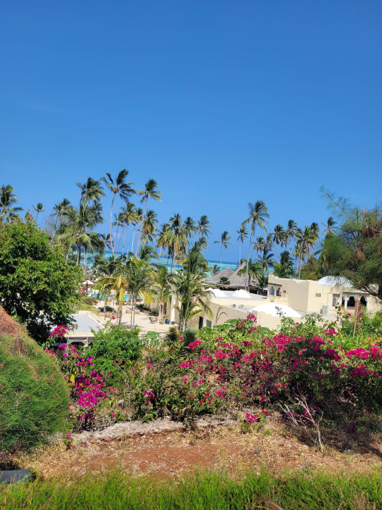 Gartenanlage TUI Blue Bahari Zanzibar