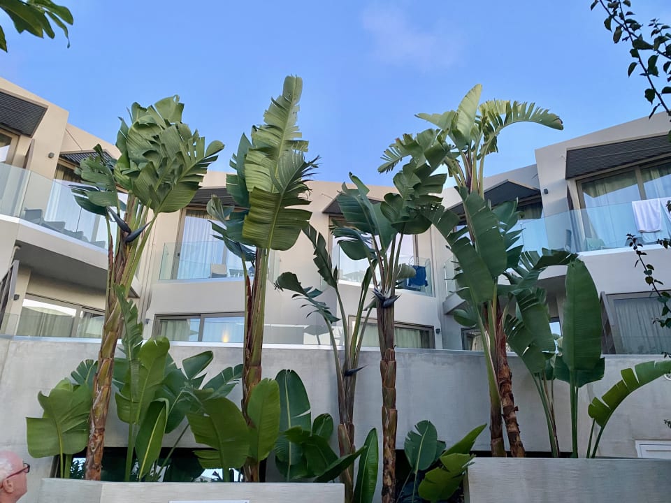 Gartenanlage Nefeli Hotel Rethymno