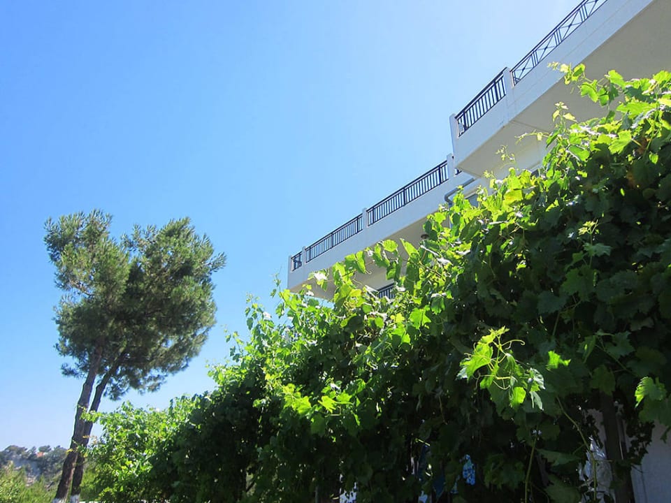 Blick in den immer blauen Himmel Hotel Helena Christina