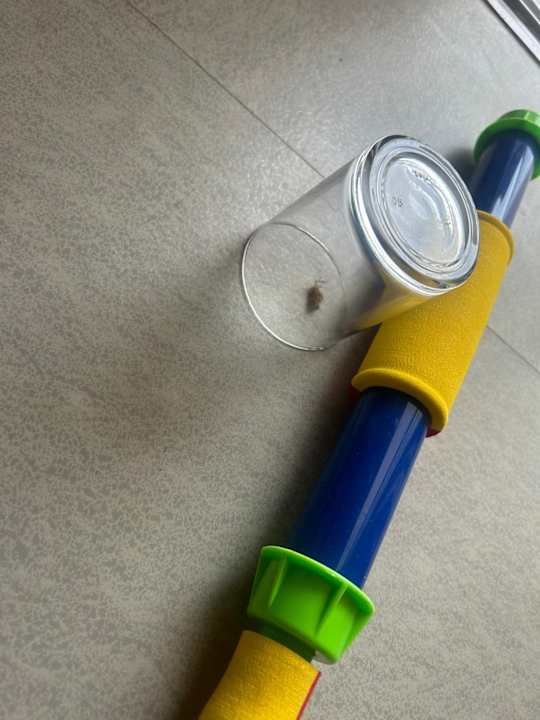 Zimmer Calimera Yati Beach