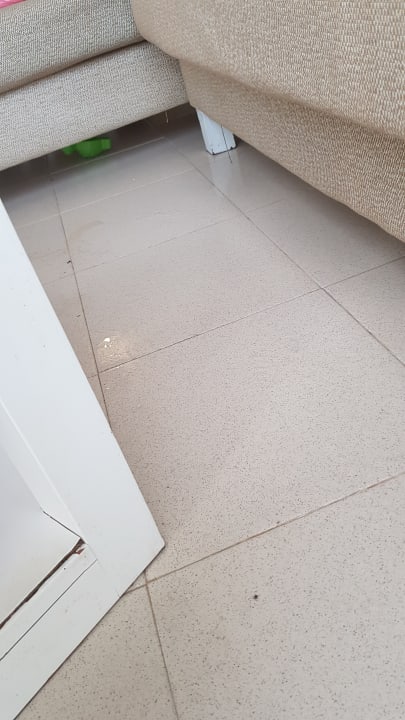 Zimmer Green Garden Aparthotel