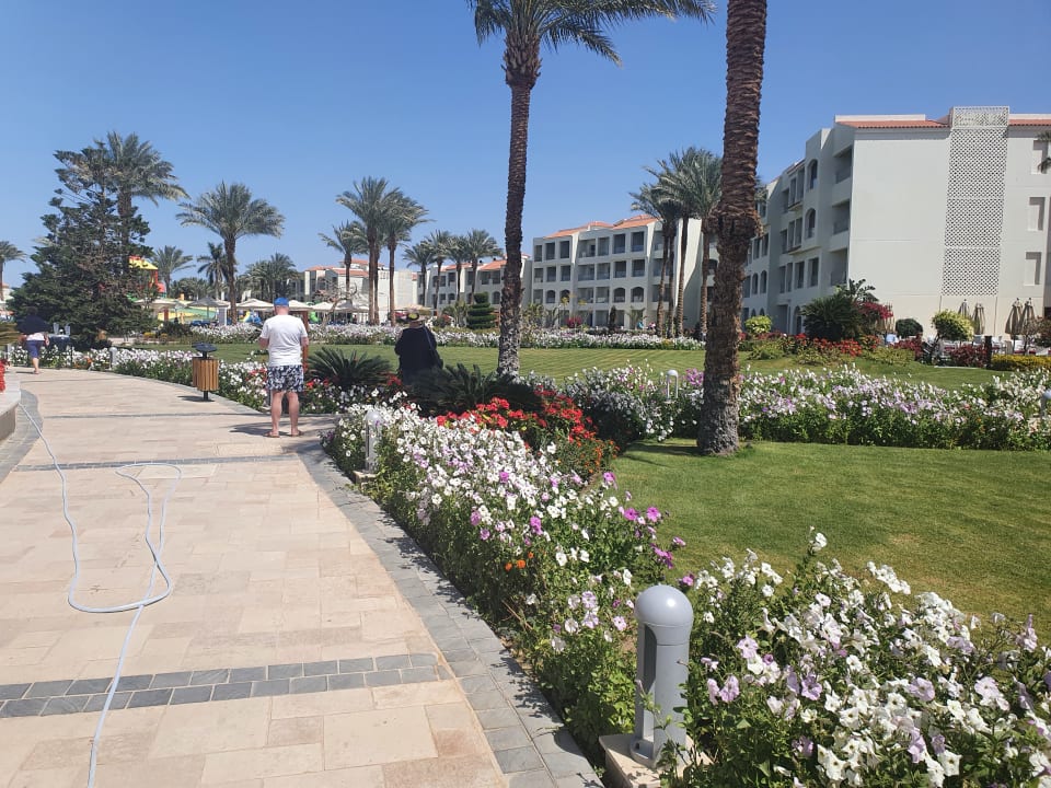 Außenansicht Pickalbatros Dana Beach Resort - Hurghada