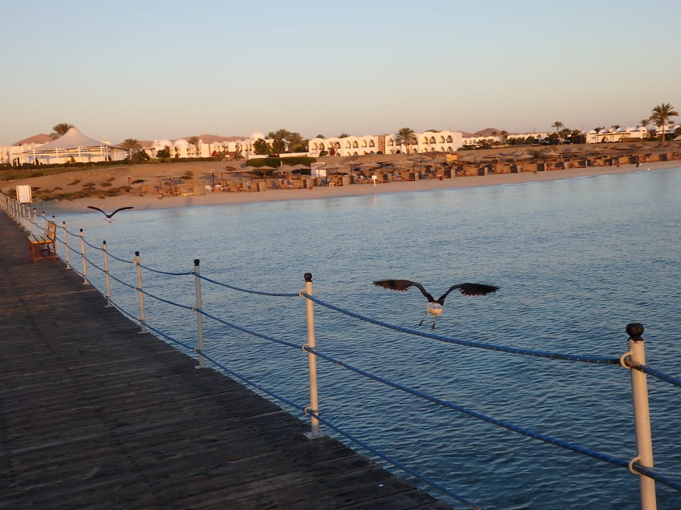 Strand Hotel Gorgonia Beach Resort