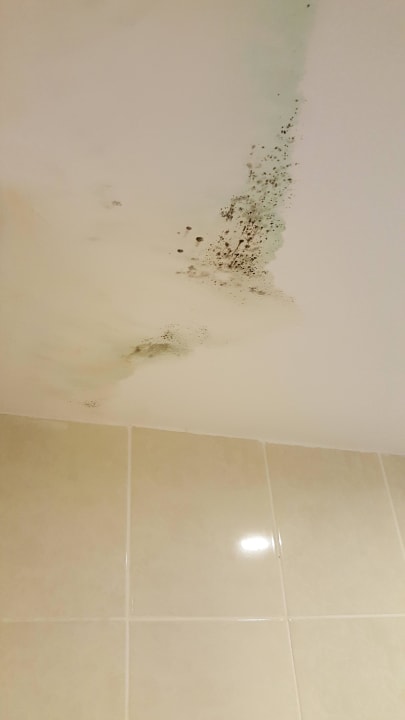 Bad Decke Maya World Park Hotel