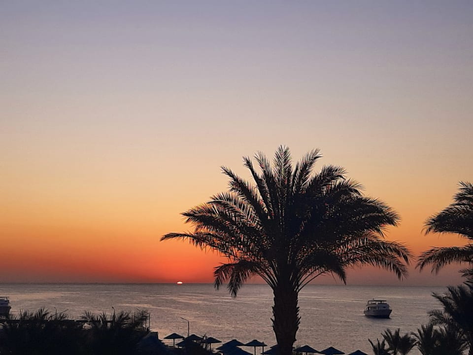 Ausblick Beach Albatros Resort