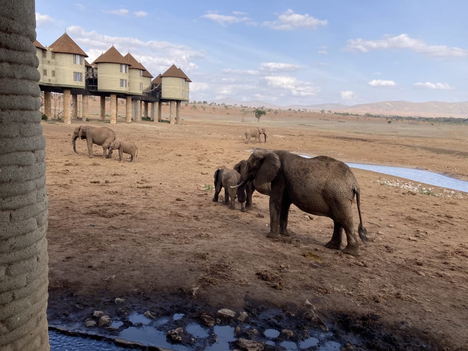 Außenansicht Salt Lick Safari Lodge
