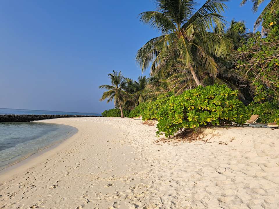Strand Summer Island Maldives