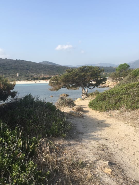 Strand TH San Teodoro - Liscia Eldi