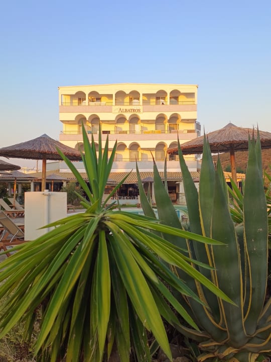 Außenansicht Hotel Albatros