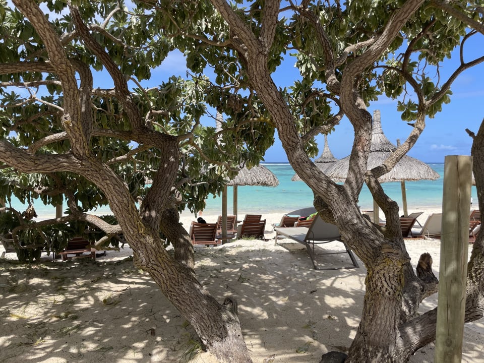Strand Crystals Beach Resort Belle Mare, a member of Radisson Individuals